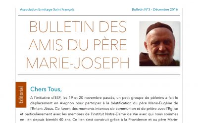 Bulletin N°3 – A l’approche de Noël