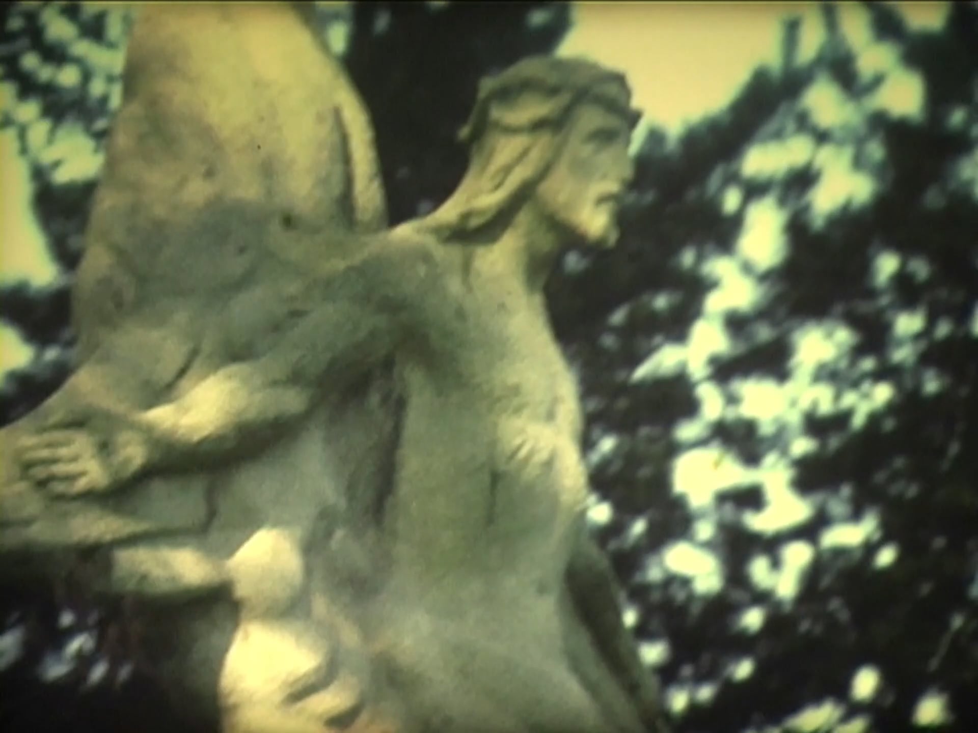 Il nous a tant aimé