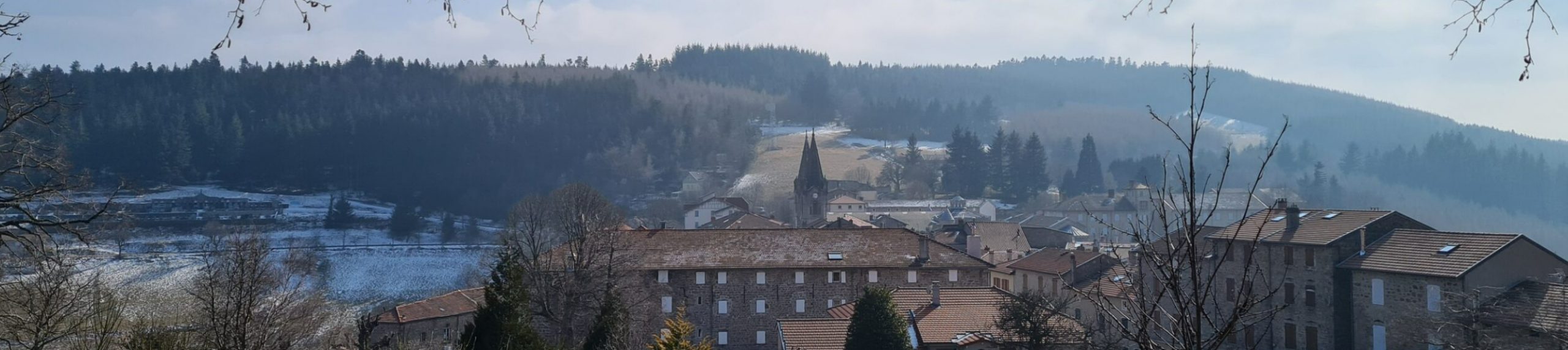 image vff 2026 image vff 2026